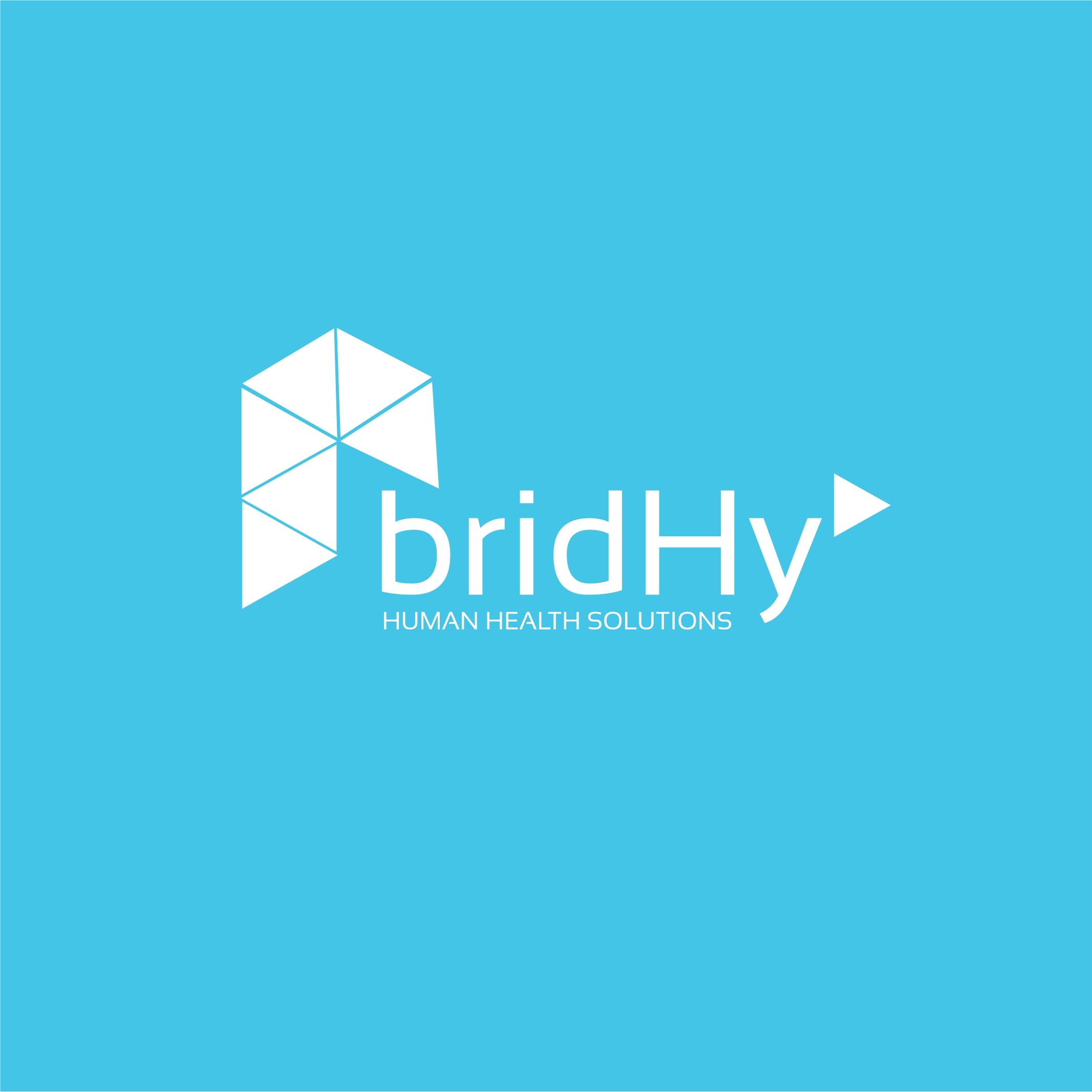 bridhy_2