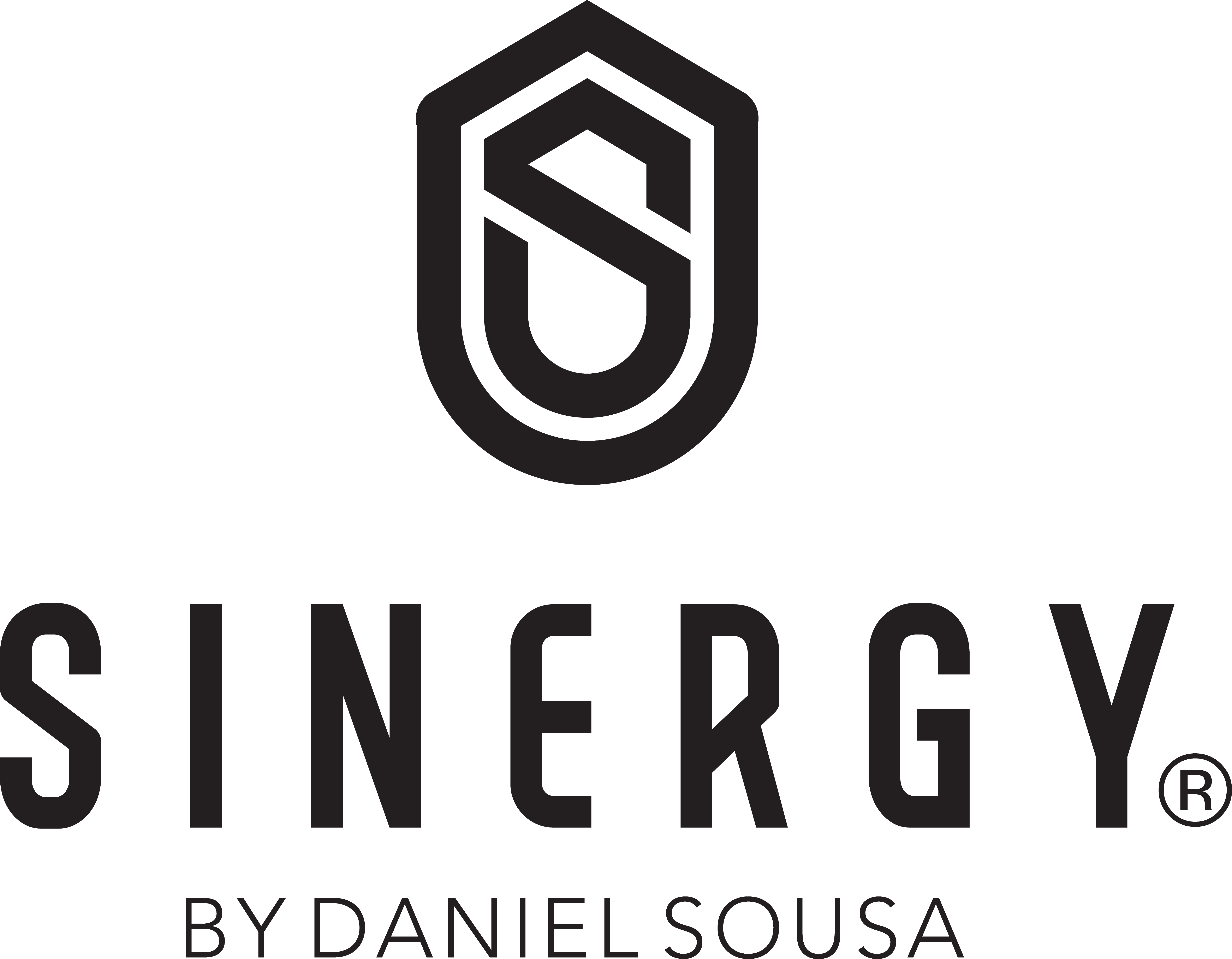 Sinergy